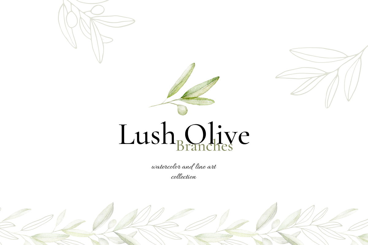 Olives – Watercolor & Line Art, a Decorative Illustration by Liliia Polos Illustration (Photo 4 of 12)
