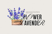 Glamer Modern Calligraphy Sans Serif, a Sans Serif Font by Graphicxell (Thumbnail 4 of 8)