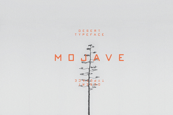 Mojave preview 5