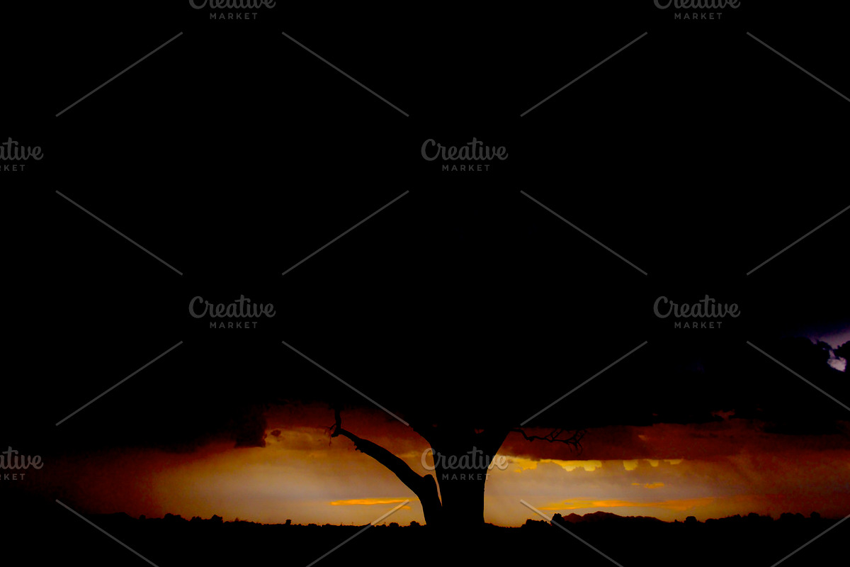 Tree at Dusk, a Nature Photo by Marc Sandin Creative (Photo 4 of 5)