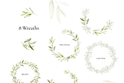 Olives – Watercolor & Line Art, a Decorative Illustration by Liliia Polos Illustration (Thumbnail 3 of 12)