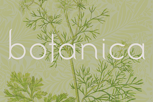 Botanica. Stylish modern and classic