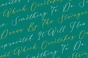 Bestlife Santuary Beautiful Script, a Script Font by stylishtype.co (Thumbnail 8 of 20)