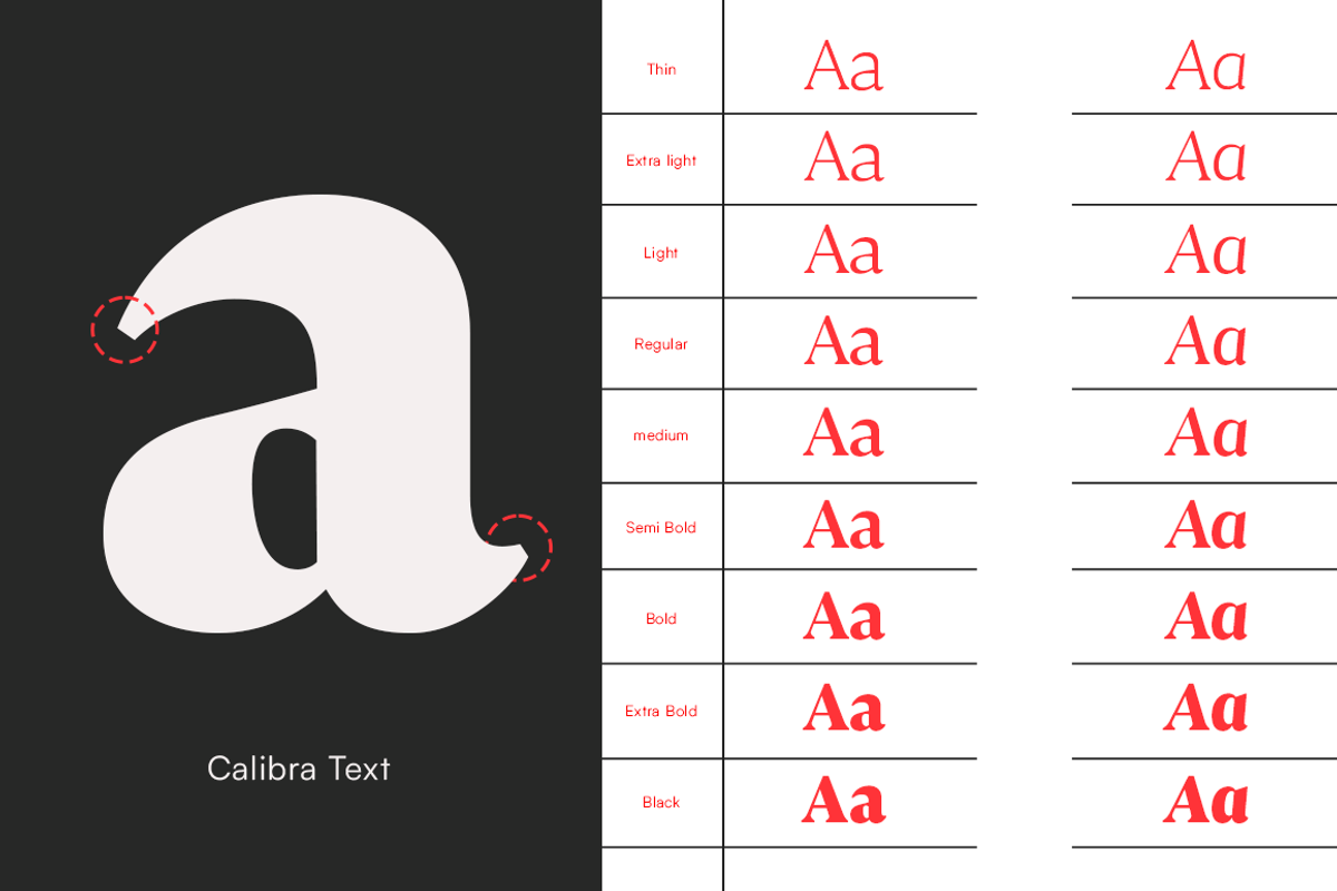 Calibra Text 18 Fonts- Save 40%, a Serif Font by Mulkan Nazir (Photo 9 of 12)