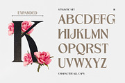 Garmole - Elegant Serif Font, a Serif Font by Hole Hope Design (Thumbnail 3 of 10)