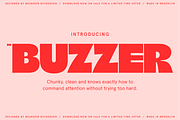 BN Buzzer Sans Serif Display Font, a Sans Serif Font by Bnick (Thumbnail 1 of 18)