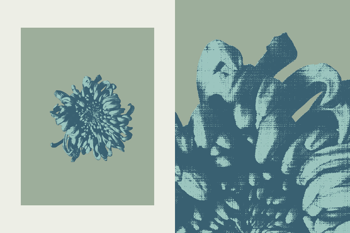 Printed Botanical Graphics, an Object Graphic by Neatly Made Studio (Photo 7 of 17)