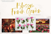 Sandley | Handwritten Script Font, a Script Font by Jhoel Design (Thumbnail 3 of 9)