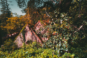 Ruined house in Sintra forest, an Architecture Photo by SkyNext
