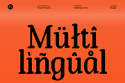 CS Brinley Drawn, a Serif Font by Craft Supply Co. (Thumbnail 5 of 8)