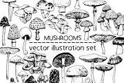 Mushrooms - vector illustration set, a Food Illustration by Renée from Studio neetje (Thumbnail 1 of 6)