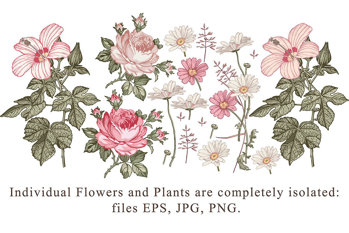 Set Seamless Flowers Rose Hibiscus, a Pattern Graphic by Vintage (Photo 3 of 10)