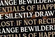 Majestic Kingdome New Display Serif, a Serif Font by Storytype Studio (Thumbnail 9 of 15)