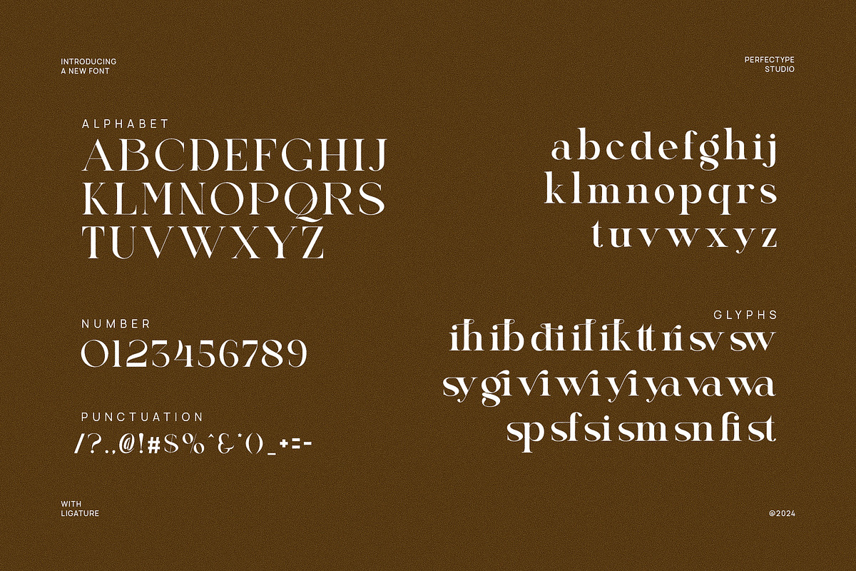 Qistine Modern Ligature Serif Font, a Serif Font by Perfectype (Photo 6 of 6)