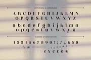 Andaluz - Modern & Elegant Serif, a Serif Font by Almeera Std (Thumbnail 3 of 10)