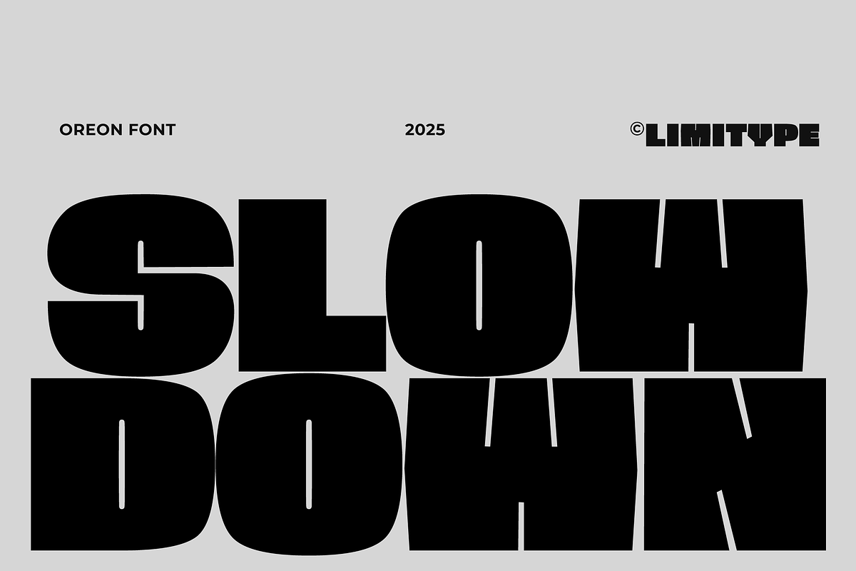 Oreon - Bold Font, a Sans Serif Font by limitype (Photo 3 of 15)