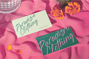Blynkas Scripte Handwritten Font, a Script Font by Letterena Studios Script (Thumbnail 9 of 15)