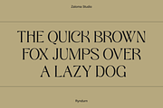 Ryndurn, a Serif Font by Zaloma Studio (Thumbnail 17 of 20)