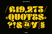 TAN - DAISY, a Serif Font by TanType (Thumbnail 12 of 14)