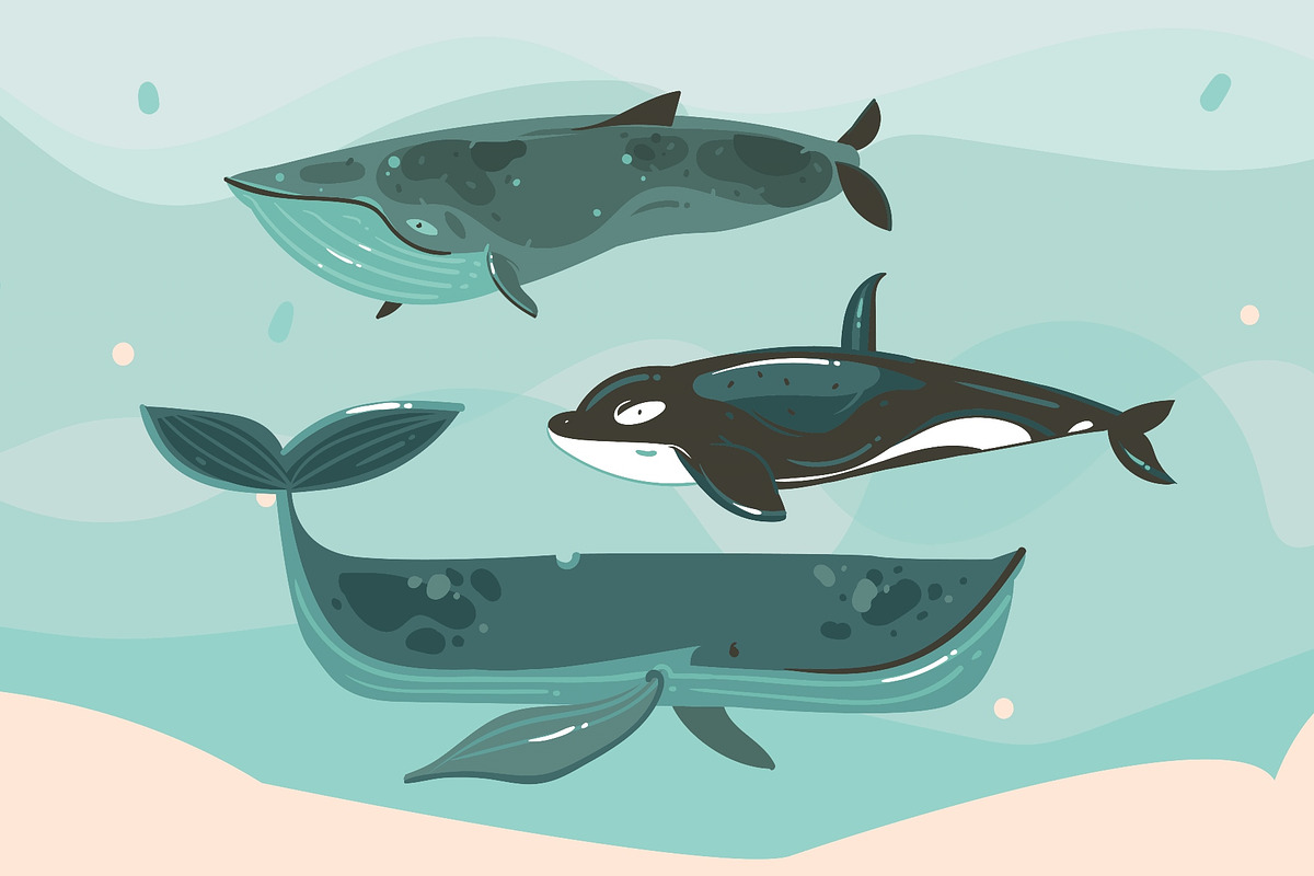 Mermazing Life 30% OFF!, an Animal Illustration by Anastasy_helter (Photo 4 of 21)
