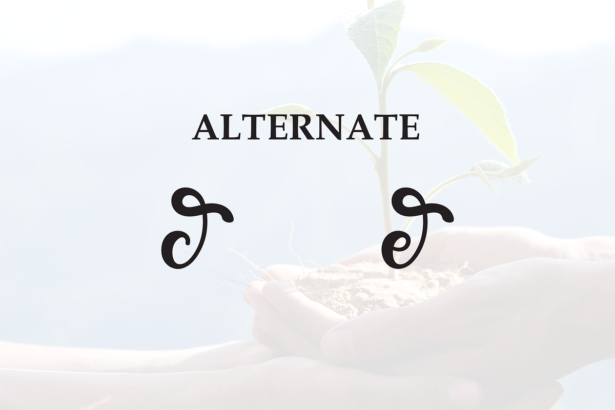 The Alive | Script Font, a Handwritten Font by Scratchones (Photo 8 of 9)