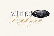 BLOSTA Font Duo//Serif & Script, a Serif Font by Alcode (Thumbnail 21 of 23)