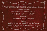 La Bohème whimsical handmade script, a Script Font by alenaganzhela (Thumbnail 11 of 12)