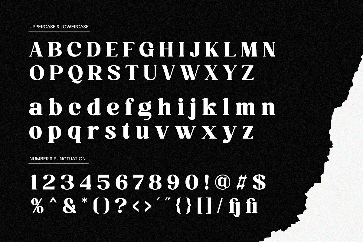 Calibria – Bold & Elegant Serif, a Serif Font by Almeera Std (Photo 3 of 10)