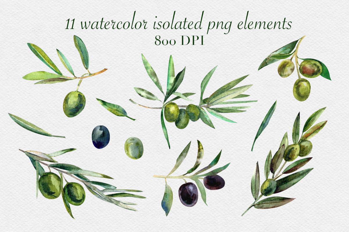 Watercolor olives set, a Food Illustration by mArtstore (Photo 2 of 7)