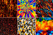 Propel: Organic 3D Textures, a Texture Graphic by Chroma Supply (Thumbnail 9 of 12)