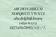 ELAYNE - Display Serif Font, a Serif Font by Hybridbee Design (Thumbnail 5 of 10)