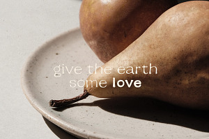 Earth Tone - Organic Sans Family