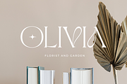 Selaris Modern Serif, a Serif Font by zeenesia (Thumbnail 14 of 16)