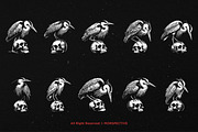 10 Bundle Dark Art Heron Bird Skull, an Illustration by Morspective (Thumbnail 6 of 7)