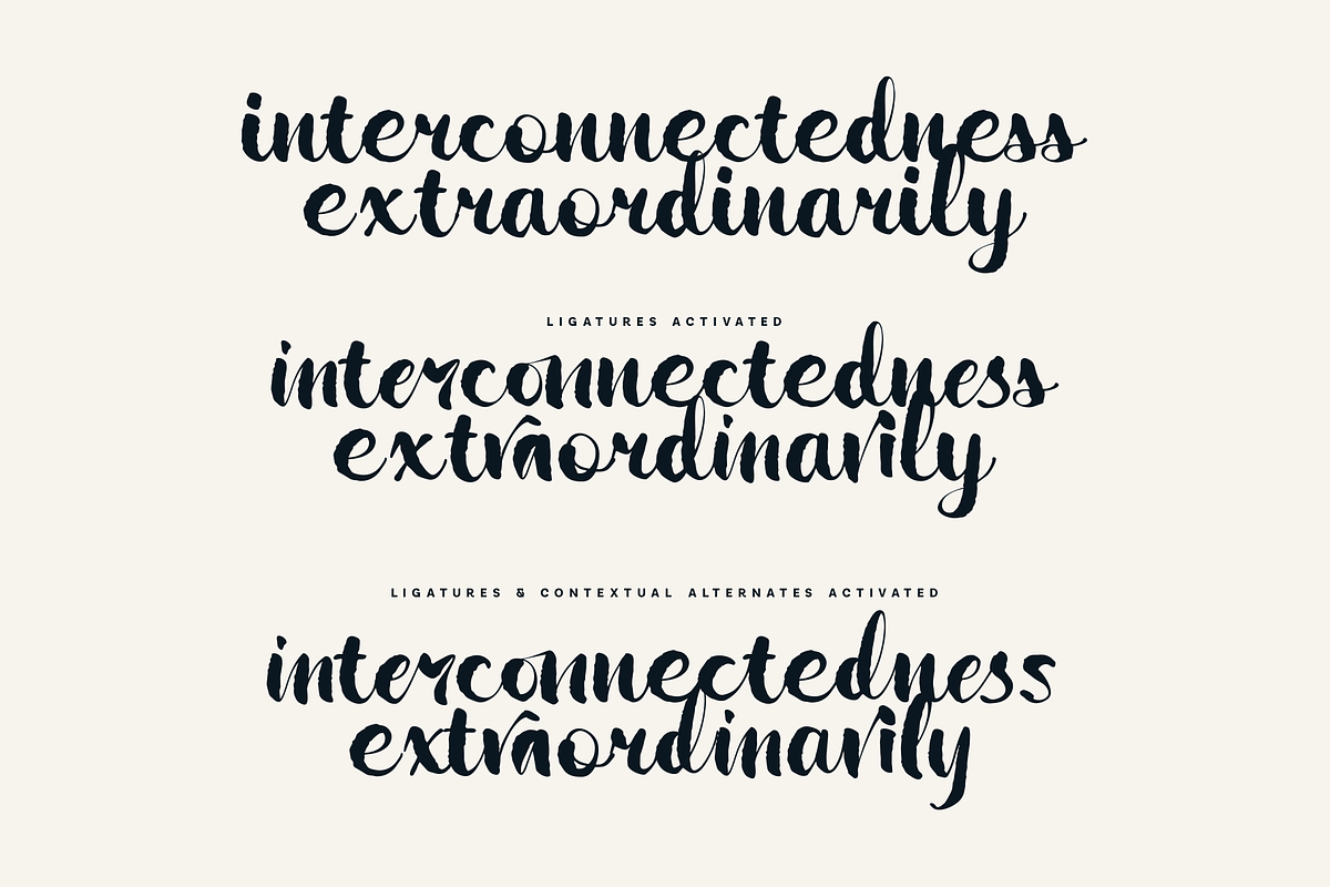 Wildwritten - Handwritten Script, a Script Font by Only Fonts (Photo 10 of 15)