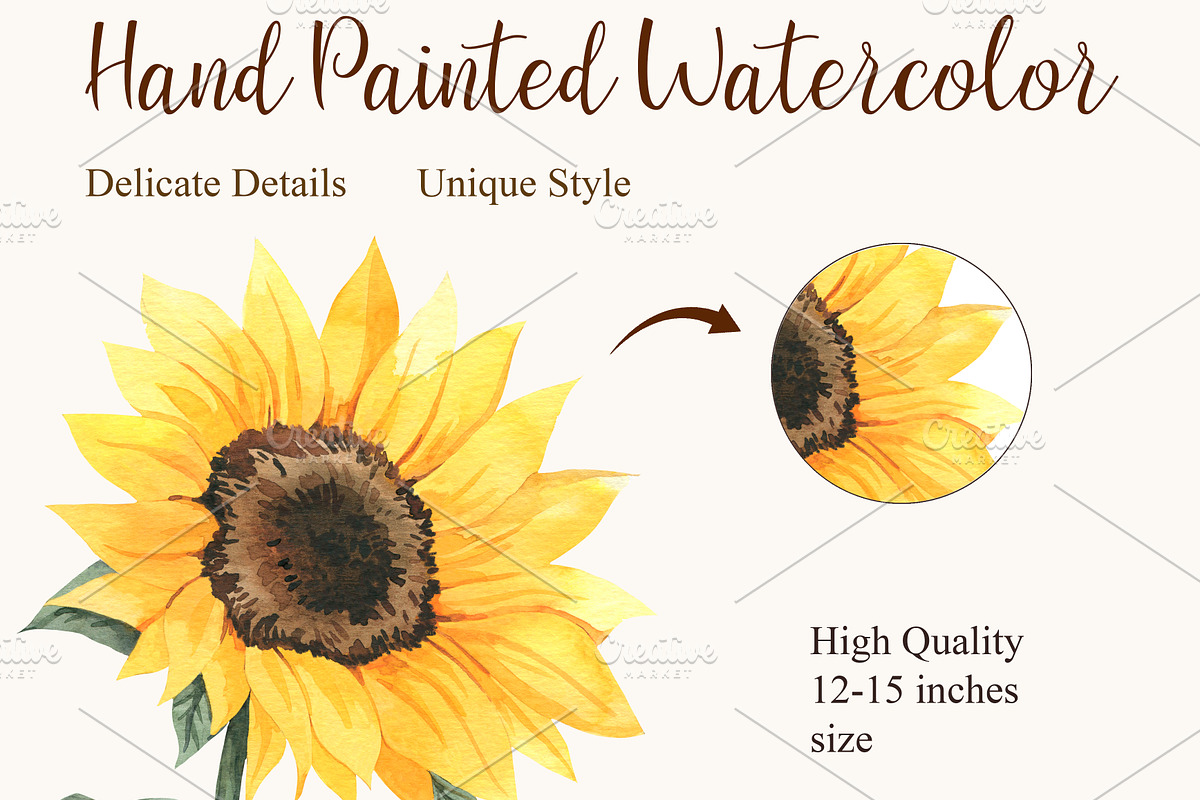 Watercolor Fall Bundle PNG, a Seasonal Illustration by PatternPalette (Photo 4 of 15)