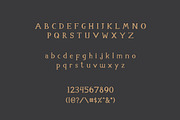 Clynia | Elegant Font Sans Serif, a Sans Serif Font by Artdez (Thumbnail 3 of 4)