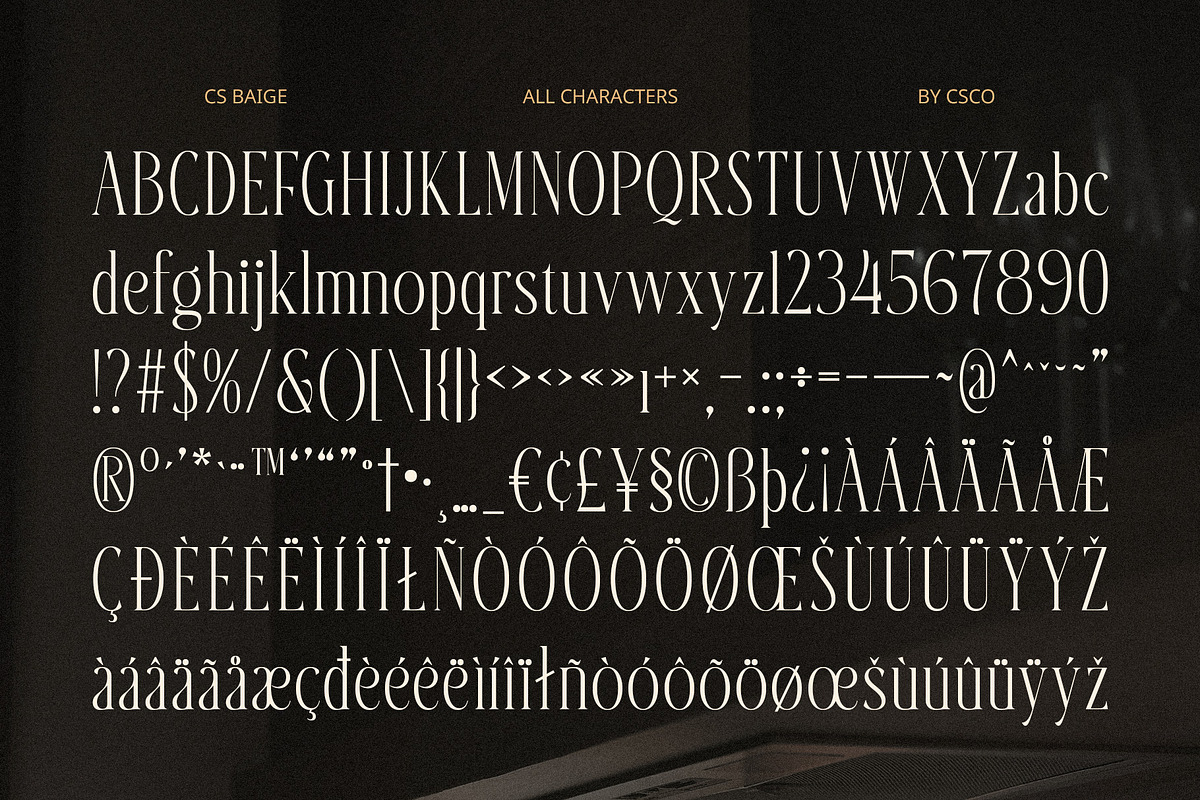 Baige – Condensed Font, a Serif Font by Craft Supply Co. (Photo 8 of 8)