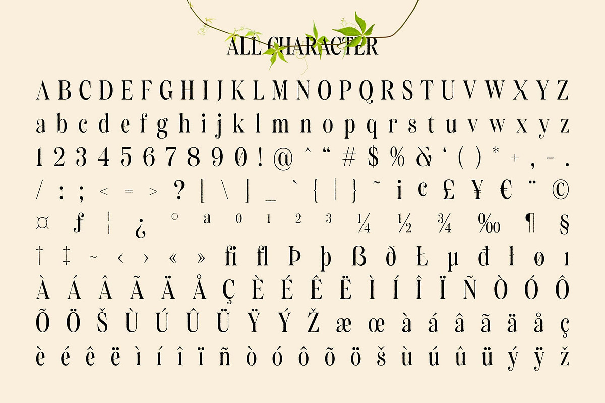 Bolognia Rough, a Serif Font by Craft Supply Co. (Photo 7 of 8)