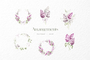 Lilac Garden Watercolor Collection, a Decorative Illustration by Liliia Polos Illustration (Thumbnail 3 of 10)