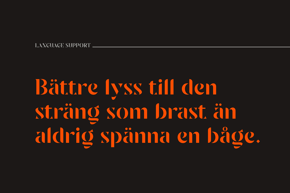 Sandega, a Sans Serif Font by Locomotype (Photo 8 of 11)