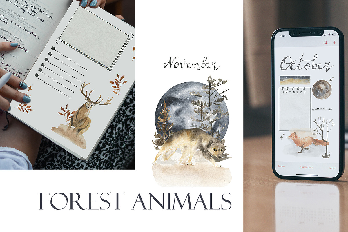 Magic of november, an Animal Illustration by Love Watercolor Store (Photo 11 of 12)