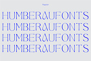 Aeglar Display, a Serif Font by Portion.Labs (Thumbnail 3 of 12)