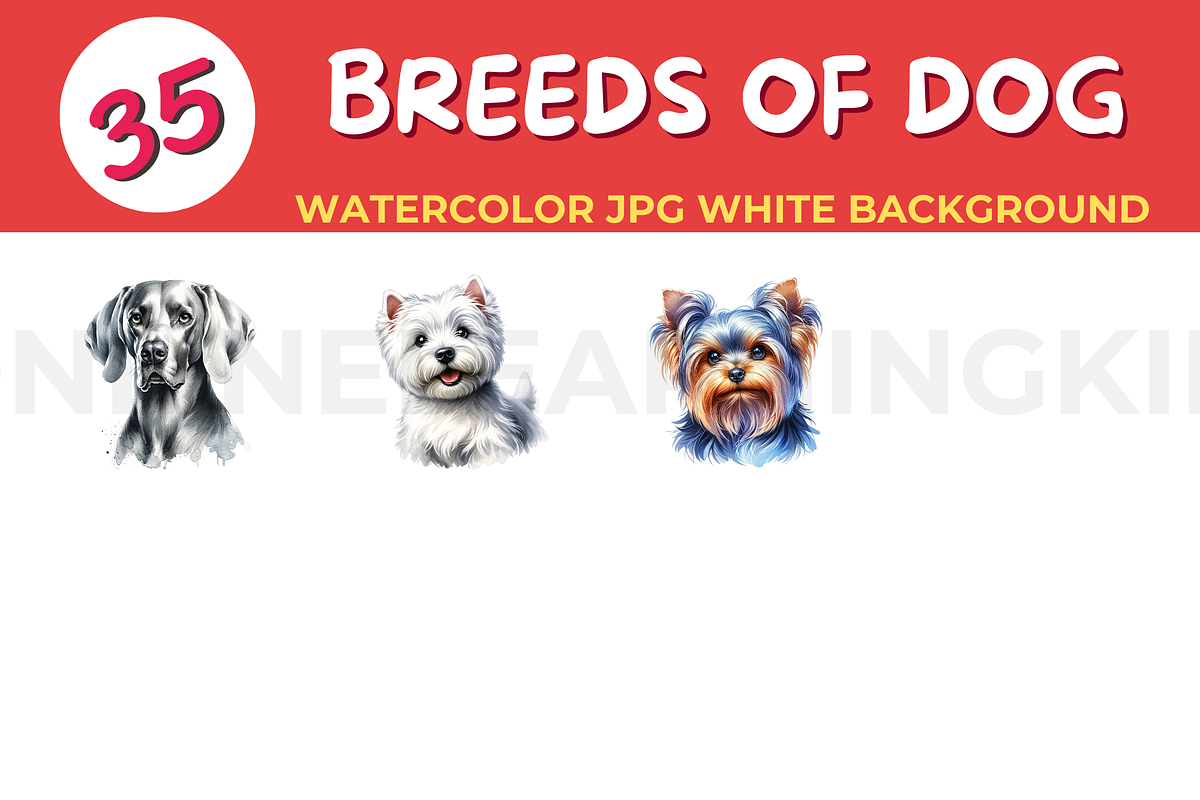 BREEDS OF DOG watercolor JPG white b, an Animal Illustration by John_Walker (Photo 3 of 3)
