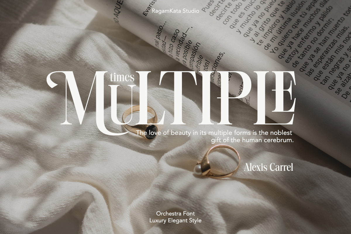 Orchestra - Modern Elegant Serif, a Serif Font by RagamKata (Photo 11 of 13)