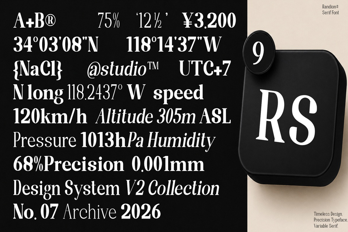 Randion, a Serif Font by StudioRhd (Photo 4 of 14)