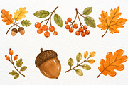 Autumn Woodland Animals Fall Clipart, an Animal Illustration by SugarCloudStudioArt (Thumbnail 6 of 6)