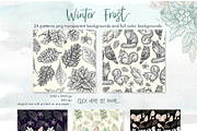 Winter Frost, an Animal Illustration by Graphobia (Thumbnail 11 of 12)