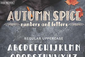 Autumn Spice Display San Serif Font