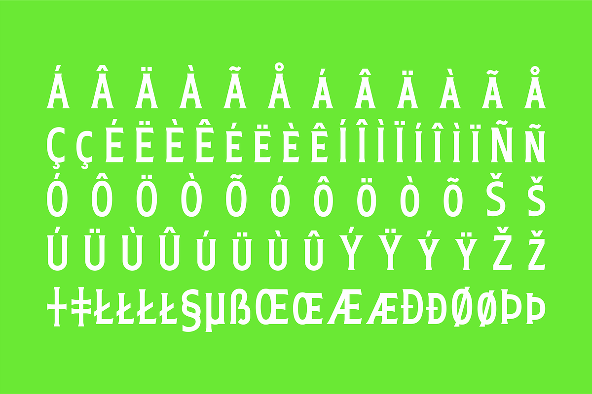50% OFF! Casler, a Serif Font by Alternate Studio (Photo 9 of 9)